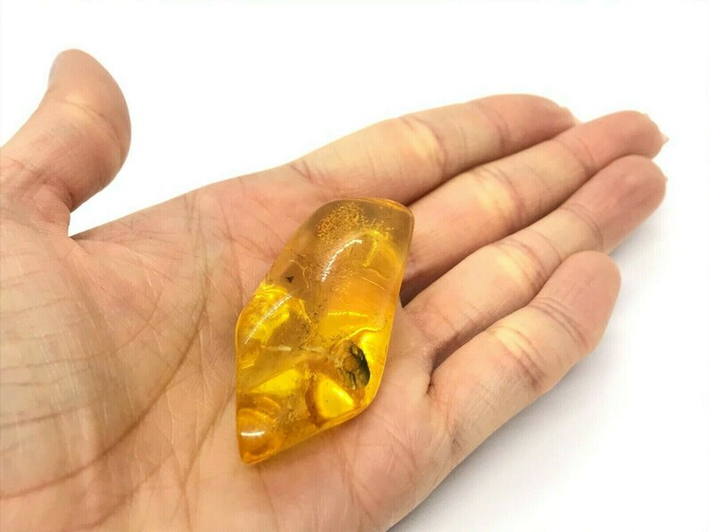 Amber Piece NATURAL BALTIC AMBER Piece with Insect Inclusion Fossil Insects Gift 10,6g 13843