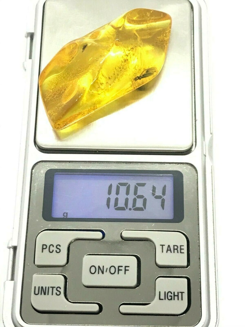 Amber Piece NATURAL BALTIC AMBER Piece with Insect Inclusion Fossil Insects Gift 10,6g 13843