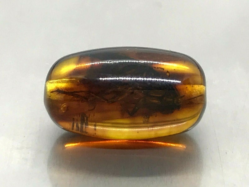 Natural Baltic AMBER Barrel Bead with INSECT DRILLED For Prayer Bracelet Necklace Jewelry 1gr 14614