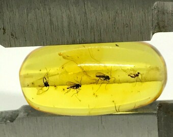 Natural Baltic AMBER Barrel Bead with INSECT DRILLED For Prayer Bracelet Necklace Jewelry 1gr 14614