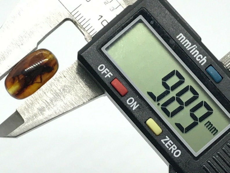 Natural Baltic AMBER Barrel Bead with INSECT DRILLED For Prayer Bracelet Necklace Jewelry 1gr 14614