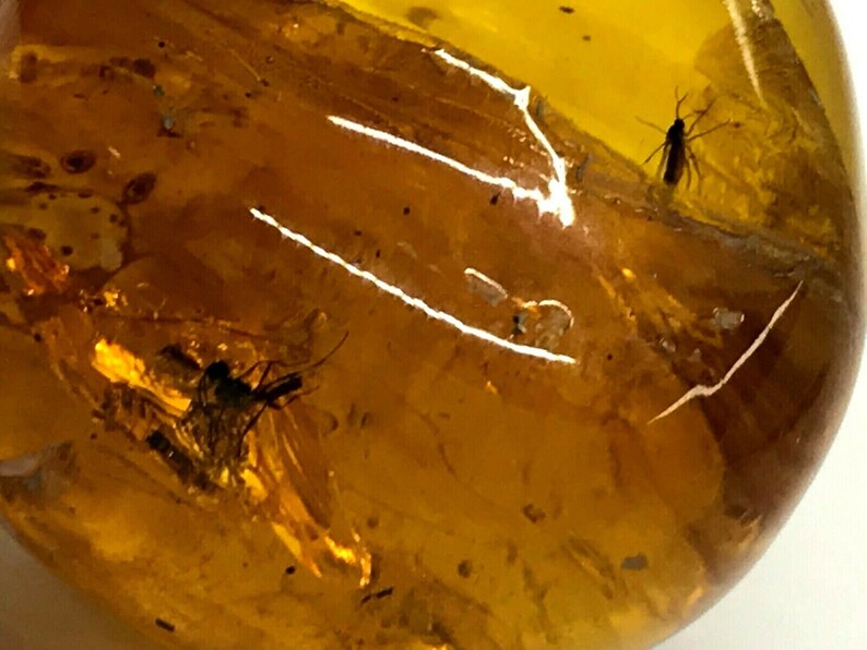 2 Insects Natural Baltic Amber Pendant With Insect Inclusion SilverGP 6,7g 7348