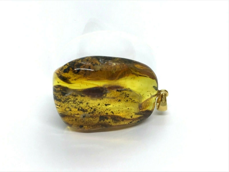 Natural Baltic Amber Pendant With Insect Inclusion Silver Gold Plated 10,6g 7310