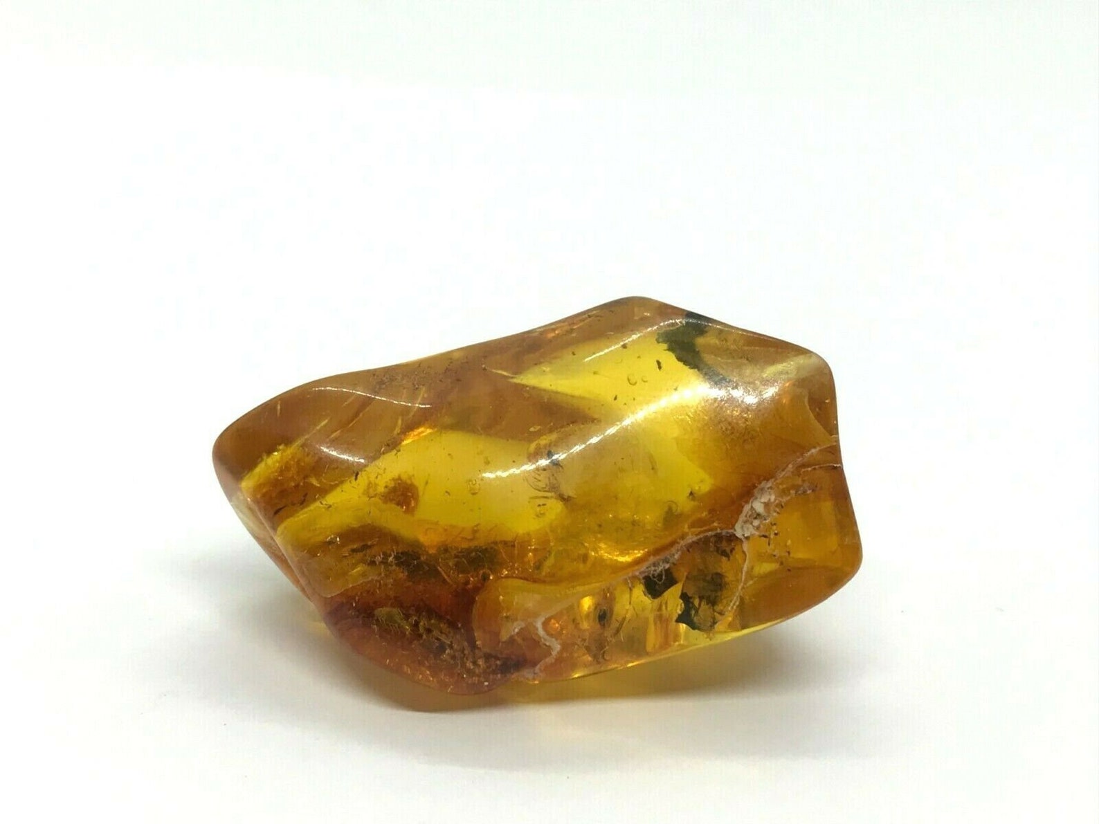 Amber With Insect Inclusion Fossil Inside Genuine Natural Etsy