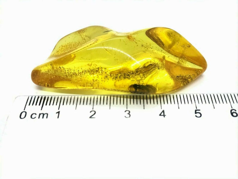 Amber Piece NATURAL BALTIC AMBER Piece with Insect Inclusion Fossil Insects Gift 10,6g 13843