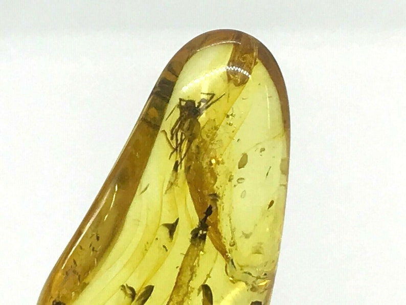 Real Natural Baltic Amber Pendant With Insect Inclusion Drop SilverGP 4,3g 6818