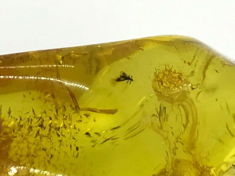 Amber Piece NATURAL BALTIC AMBER Piece with Insect Inclusion Fossil Insects Gift 10,6g 13843