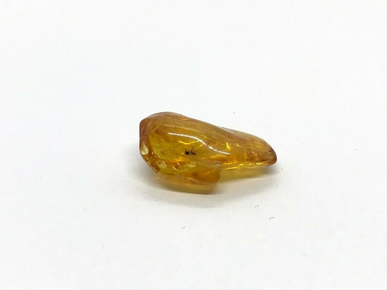 Amber Piece With Insect Inclusion Fossil inside Genuine Natural Baltic Amber piece Insects 3,8g 4219