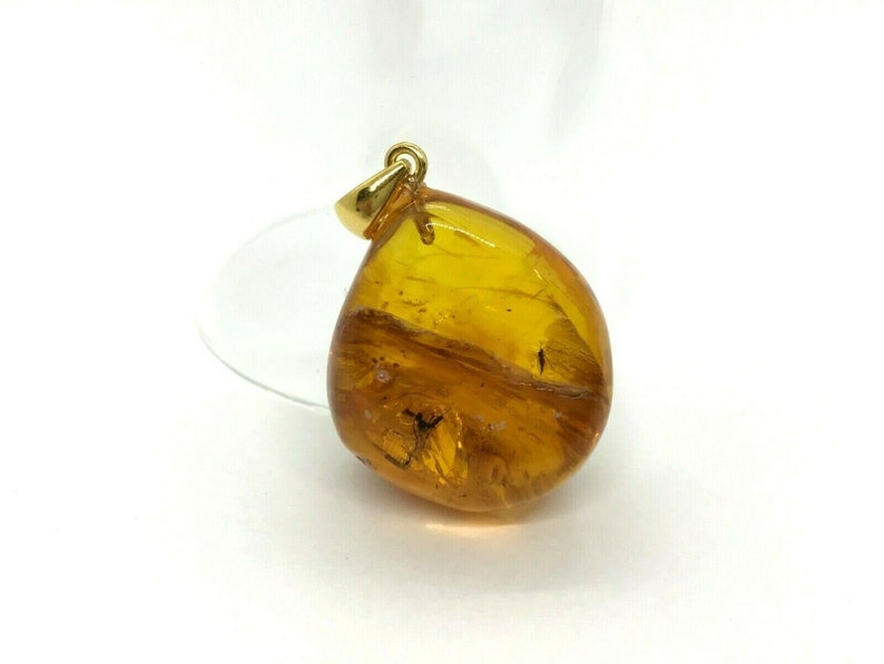 2 Insects Natural Baltic Amber Pendant With Insect Inclusion SilverGP 6,7g 7348