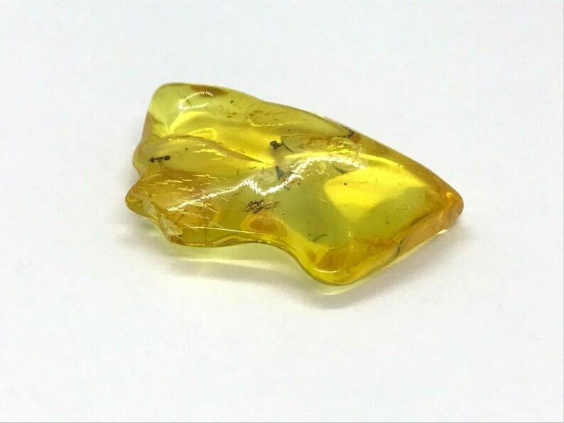 Amber Piece with Insect Inclusion Fossil inside Genuine Natural Baltic Amber piece insects 4,8gr 5962