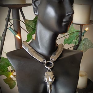 Peut inclure: Un collier argenté doté d'un pendentif en forme de crâne d'oiseau suspendu à un anneau circulaire. La chaîne est composée de segments métalliques imbriqués en forme d'écailles qui entourent le cou, créant un aspect métallique texturé.