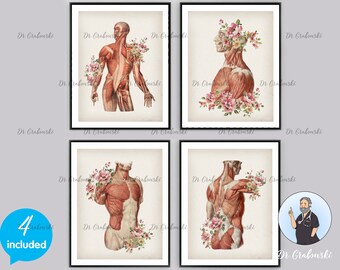 Neck and back muscles; Skeleton; Anatomical copy; Gottfried Bummes; Medical Manual; Halloween; Gothic