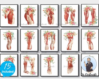 set of 4 Anatomy Leg Prints