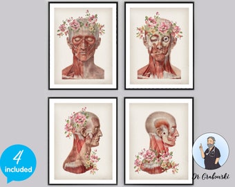 Neck and back muscles; Skeleton; Anatomical copy; Gottfried Bummes; Medical Manual; Halloween; Gothic