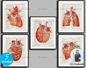 Brainly Etsy Brainly Etsy