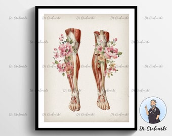set of 4 Anatomy Leg Prints