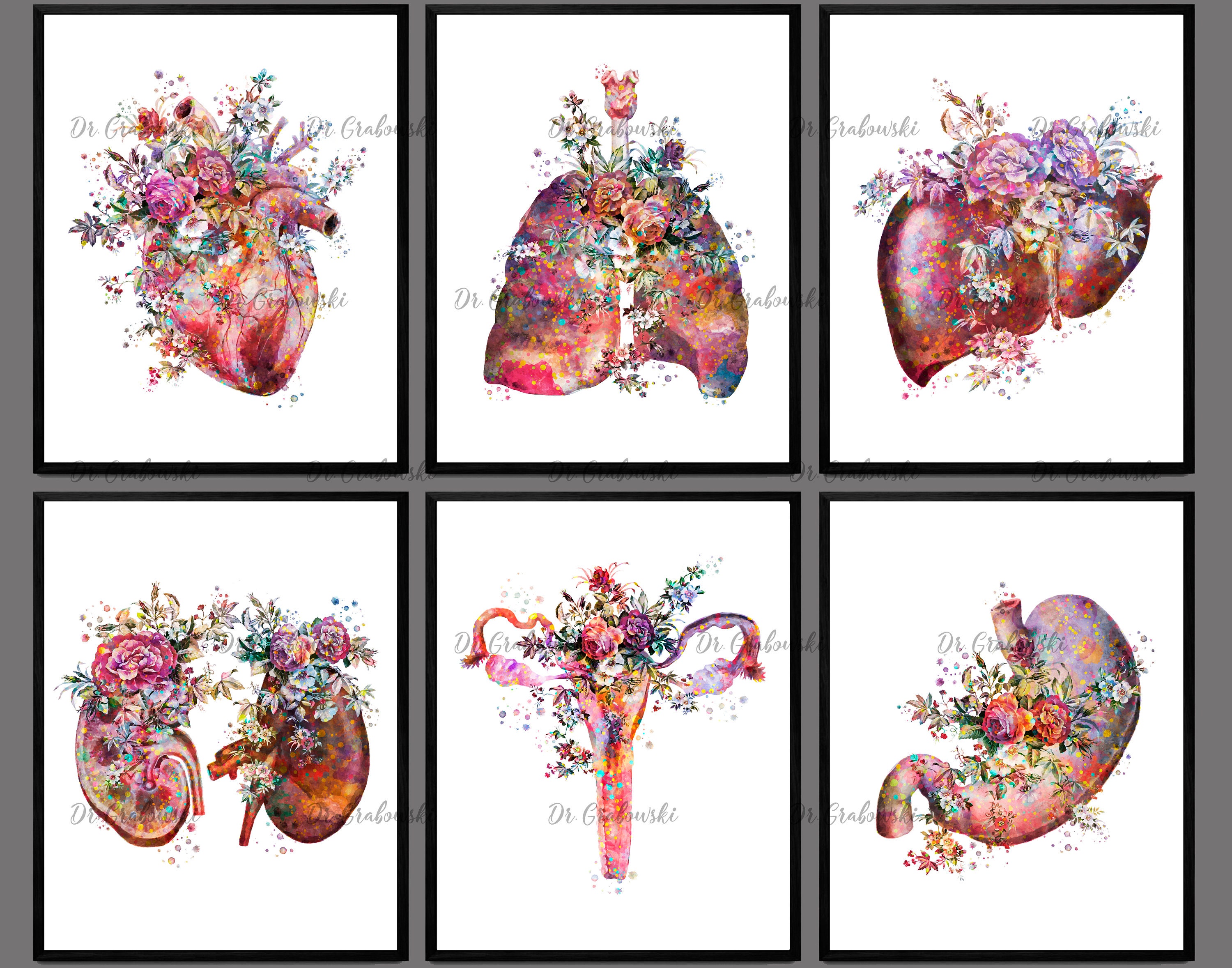 Anatomy Art Floral Internal Organs Medical Art Clinic Wall | Etsy