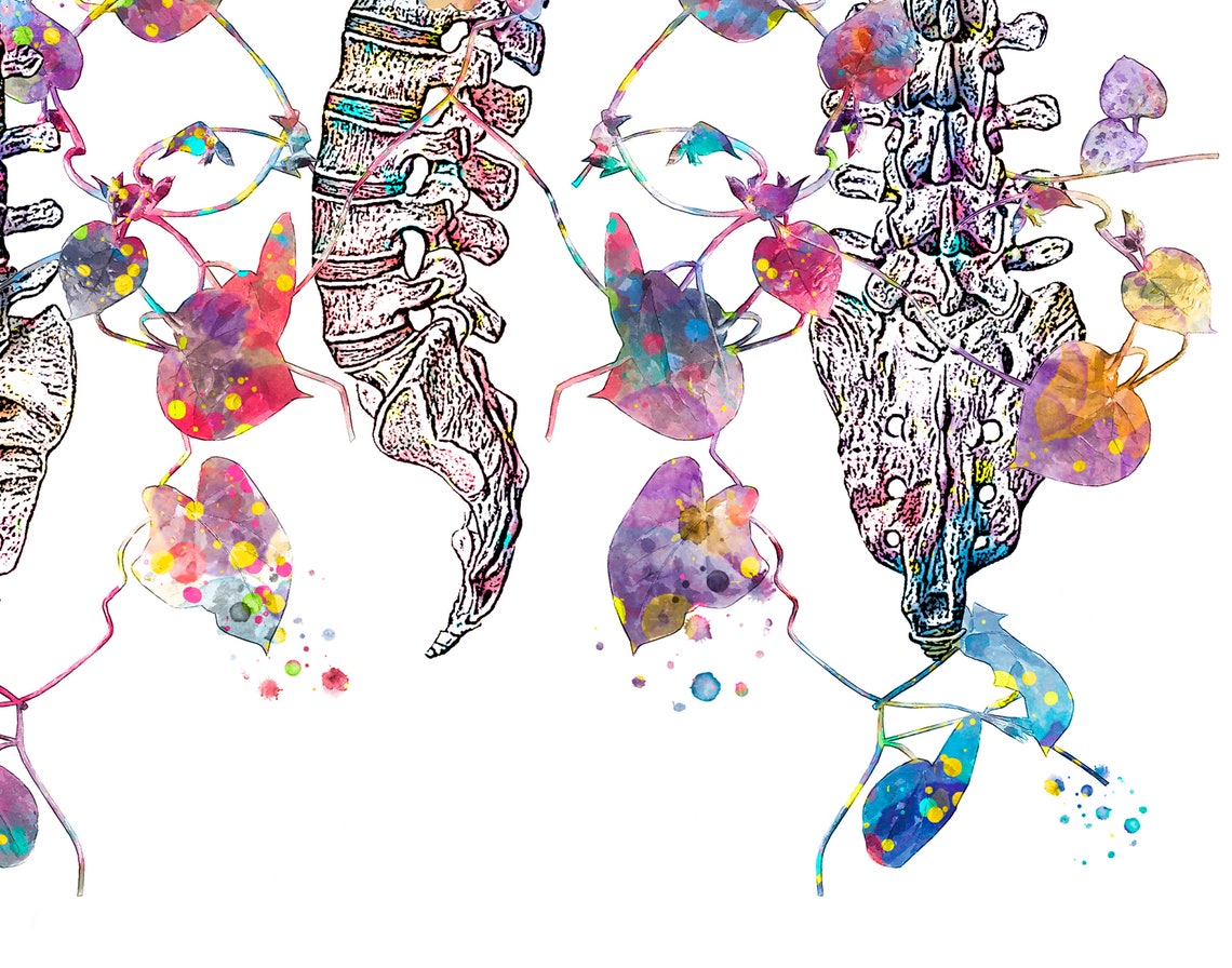 Floral Anatomy Art Watercolor Print Skull Spine Pelvis Rib Etsy