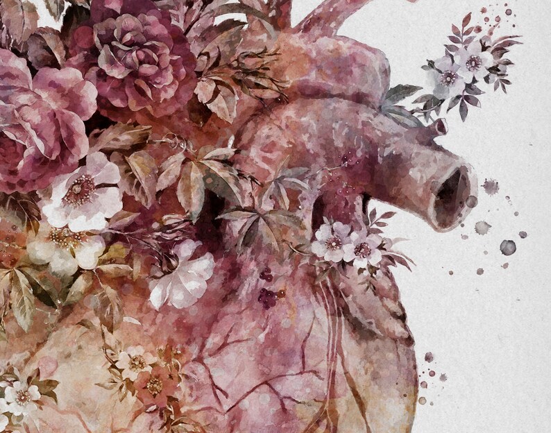 Vintage Floral Anatomy Art Medical Art Old Paper Print Etsy