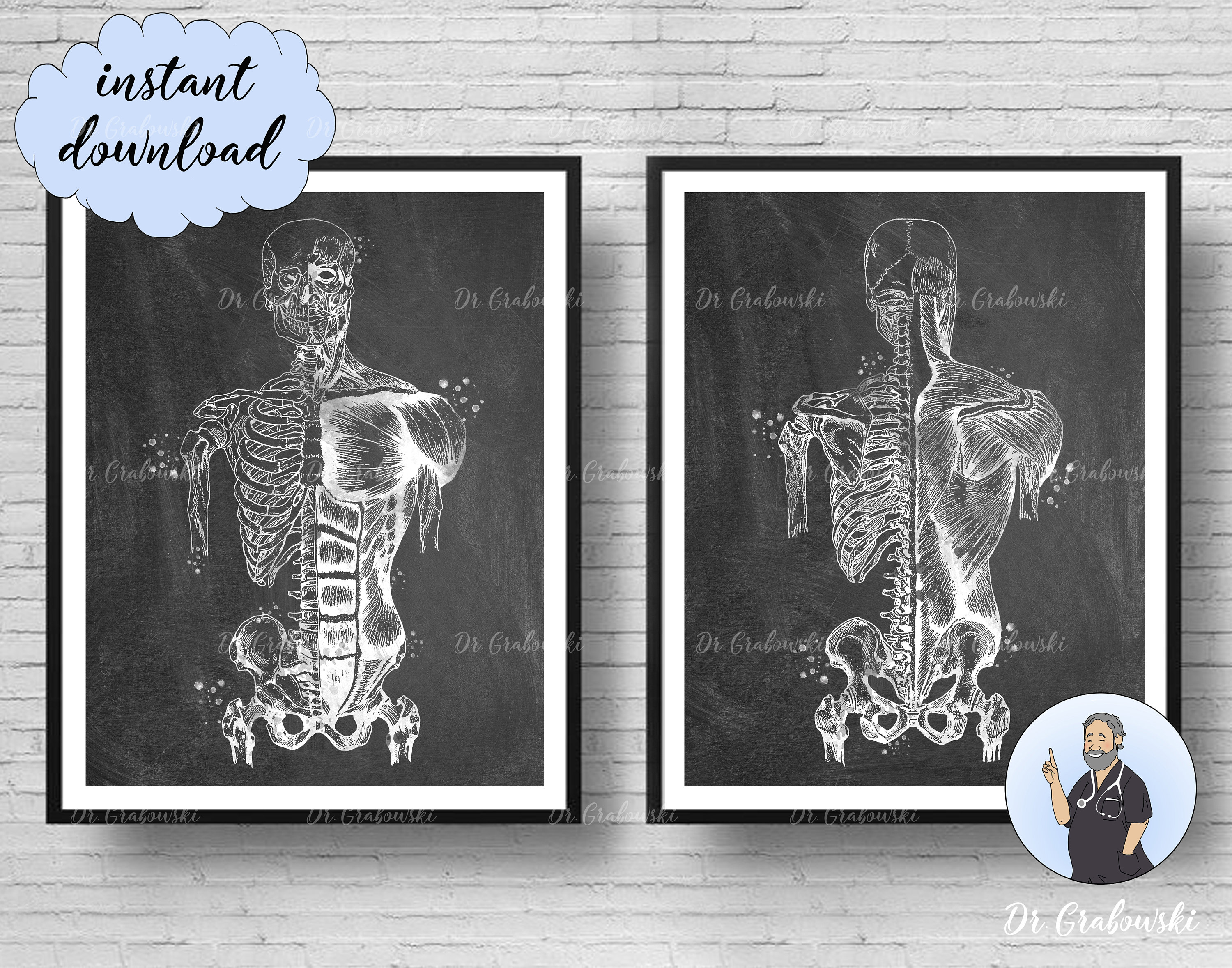 Skeleton Chalkboard Art Human Muscular System Watercolor Etsy