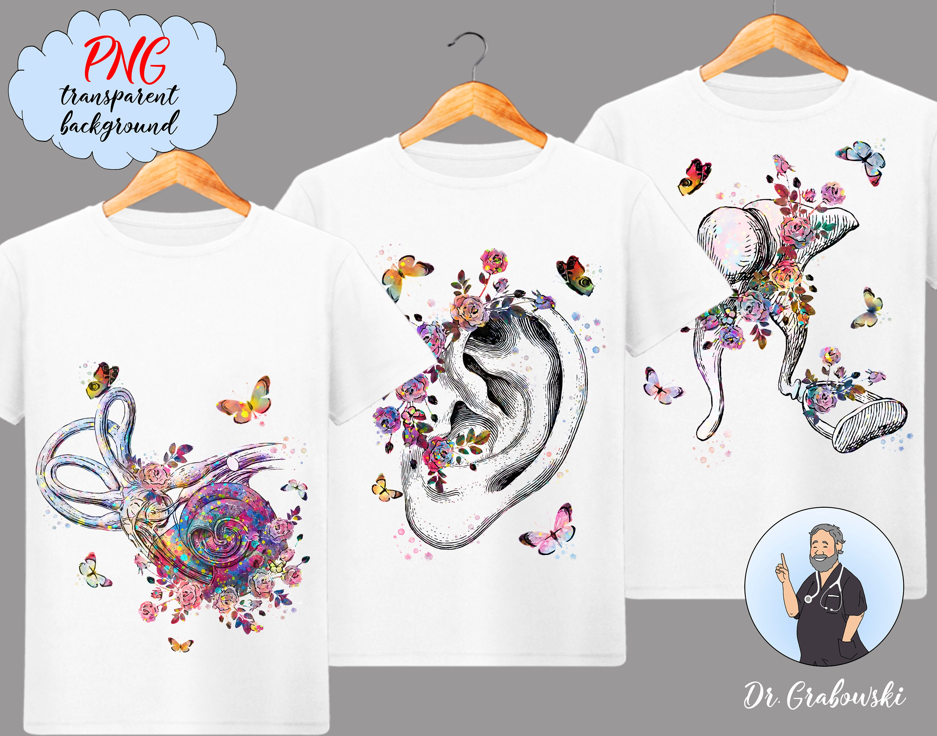 Ear Anatomy Clip Art Hearing Art Watercolor Cochlea Ossicles Etsy