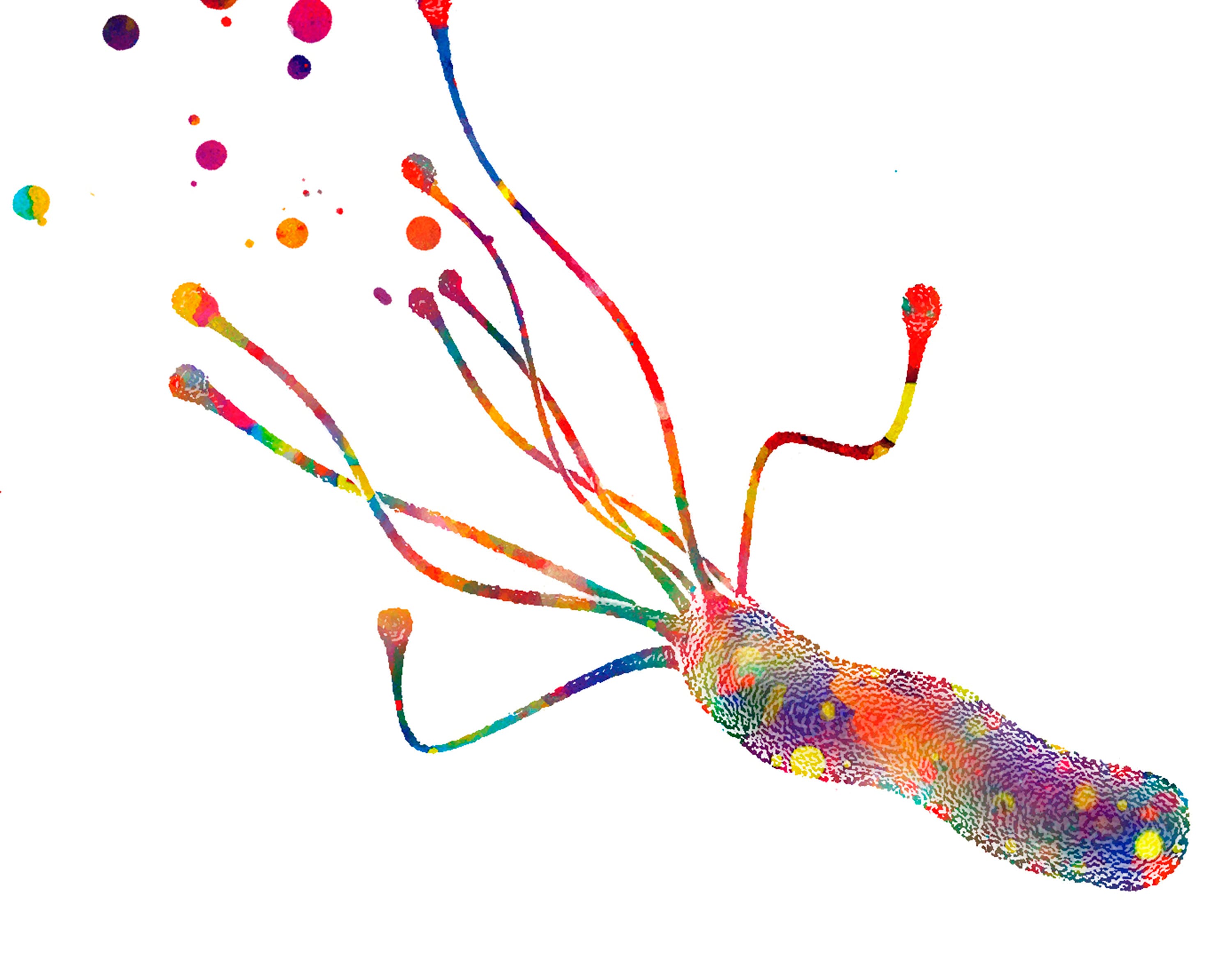 Bacteria Printable Art Microbiology Art Medical Artwork Etsy