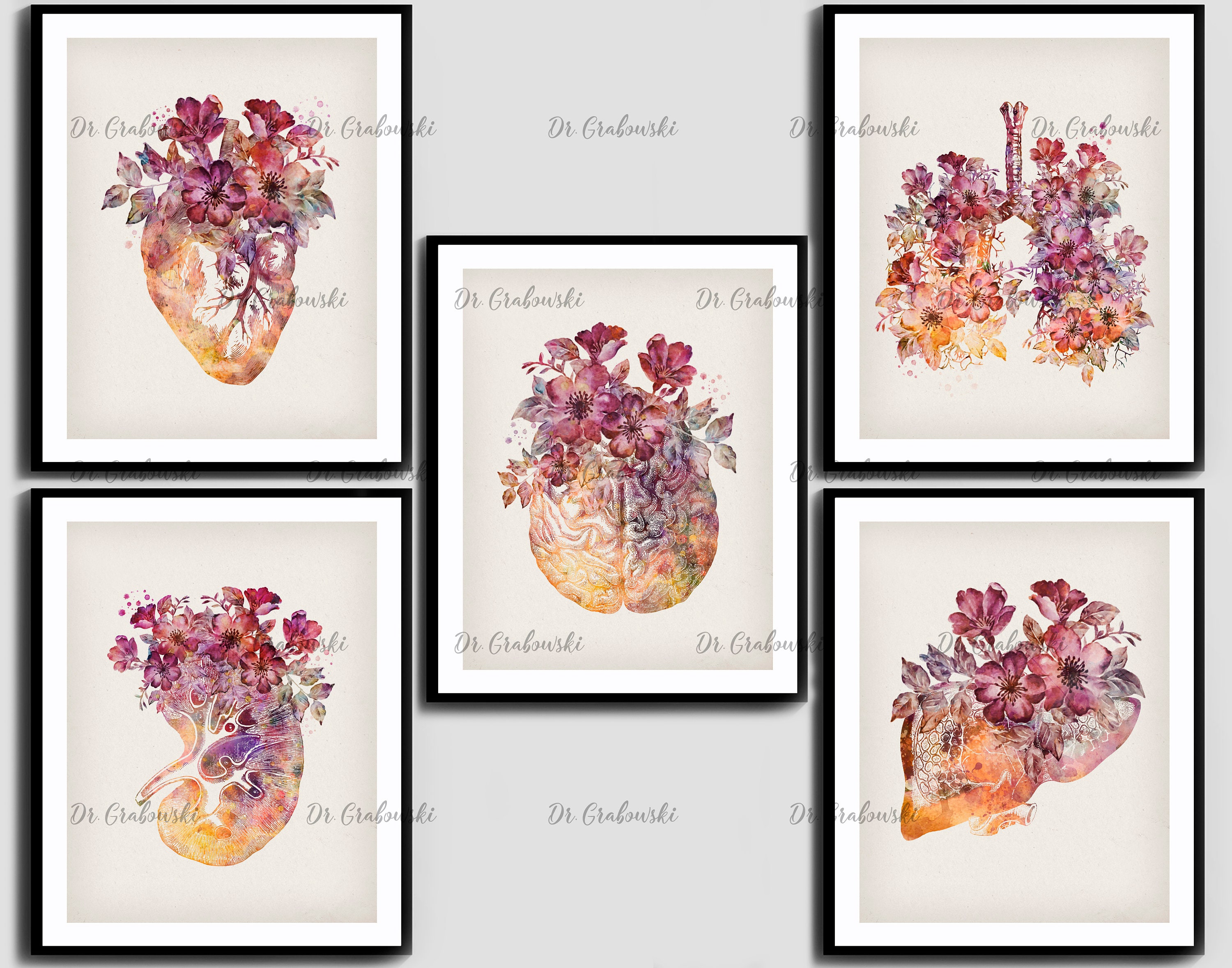 Anatomical Internal Organs Art Prints Watercolor Anatomy and | Etsy
