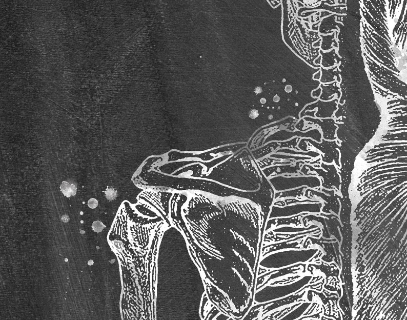 Skeleton Chalkboard Art Human Muscular System Watercolor Etsy