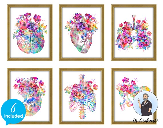 Anatomy Watercolor Painting Human Anatomical Brain Heart Lungs | Etsy
