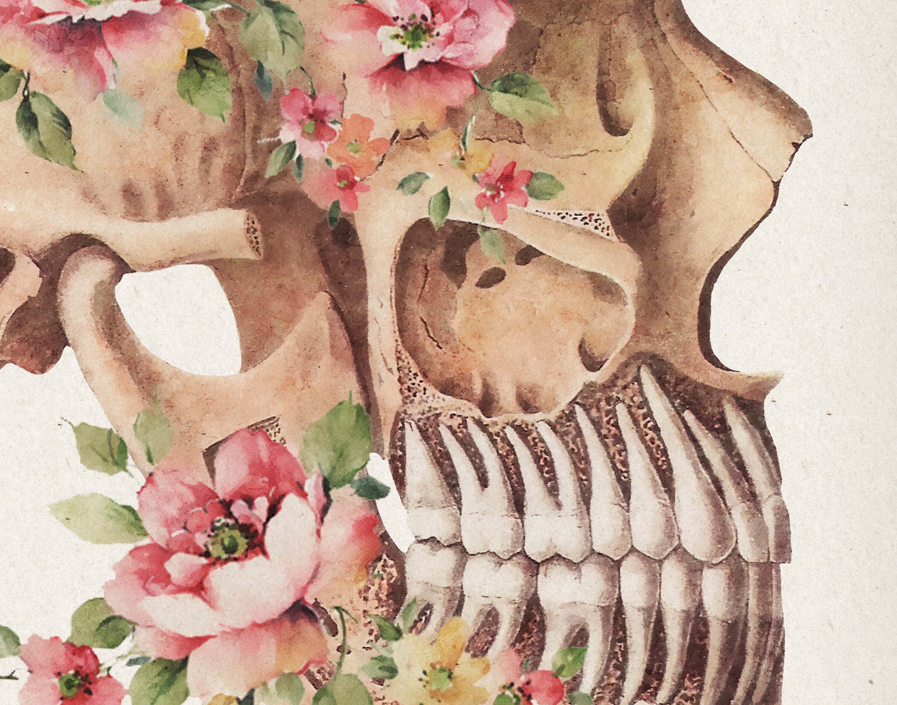 6 Floral Dental Art Molar Tooth Print Oral Cavity Print Jaw | Etsy