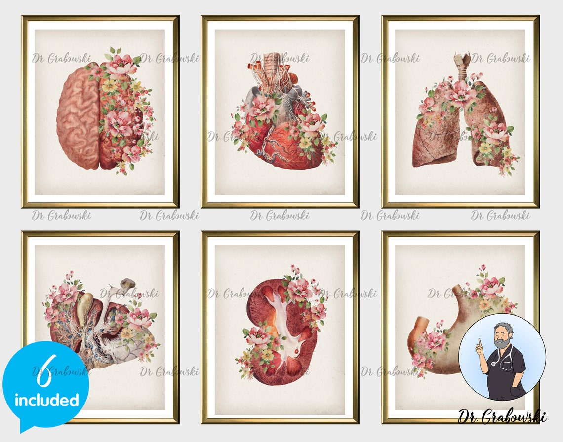 Human Internal Organs Art Floral Anatomy Prints Watercolor | Etsy