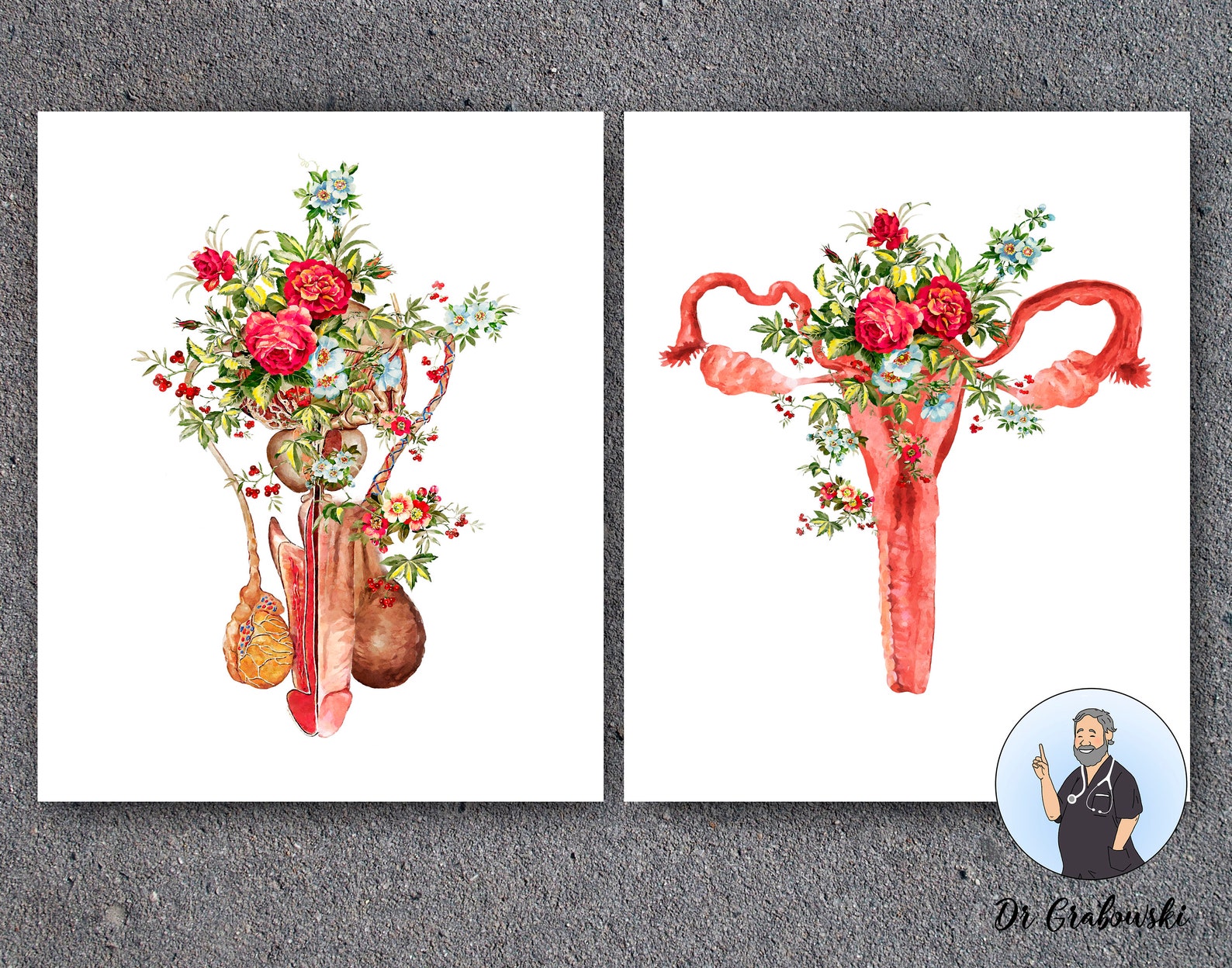 Human Reproductive System Floral Penis Anatomy Art Uterus Etsy