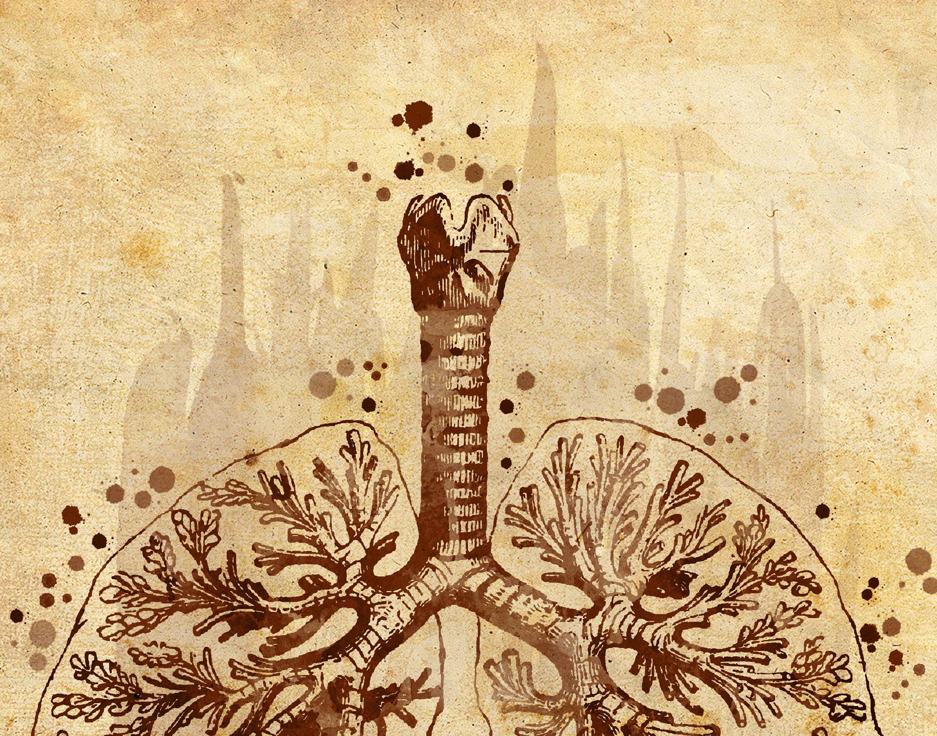 Vintage Anatomy Art Set of 6 Human Internal Organs Print Etsy