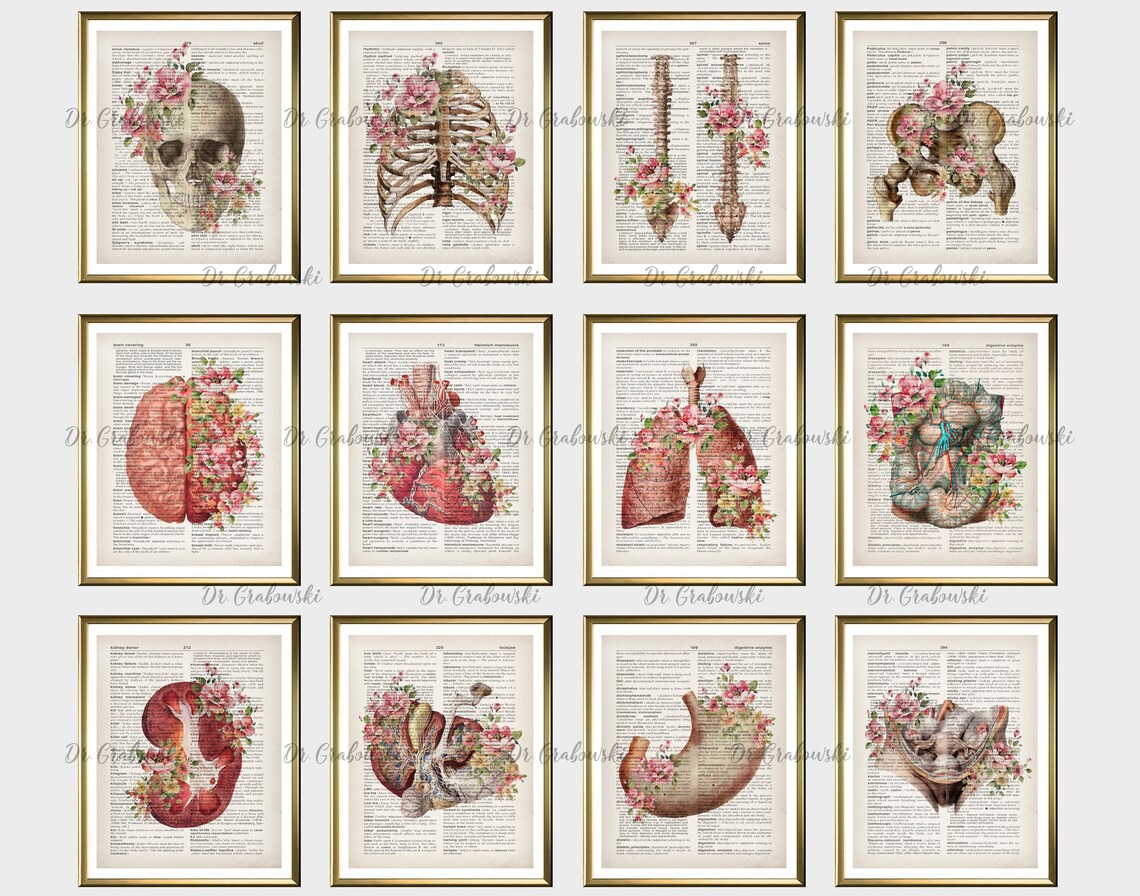 12 Floral Anatomy Wall Decor Anatomical Internal Organs | Etsy