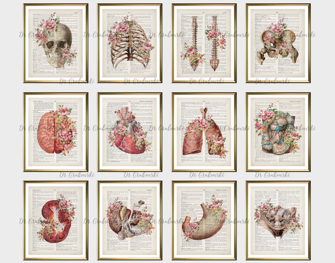 12 Floral Anatomy Wall Decor Anatomical Internal Organs Etsy