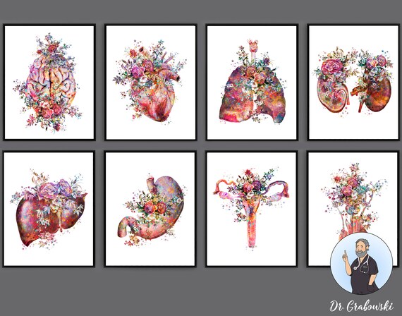 Anatomy Print Set of 8 Floral Brain Heart Lungs Kidneys Liver | Etsy
