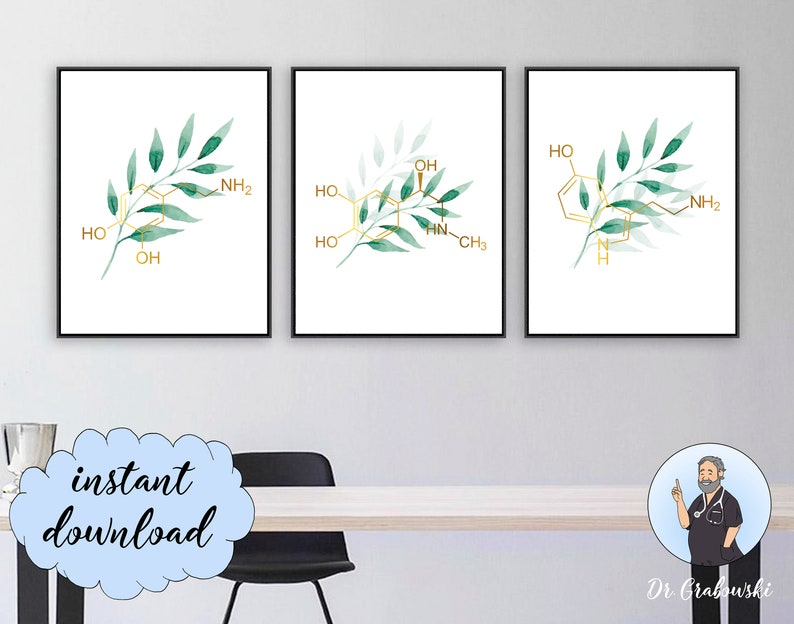 Download Adrenalin Serotonin Dopamine Art Print Chemical Structure ...