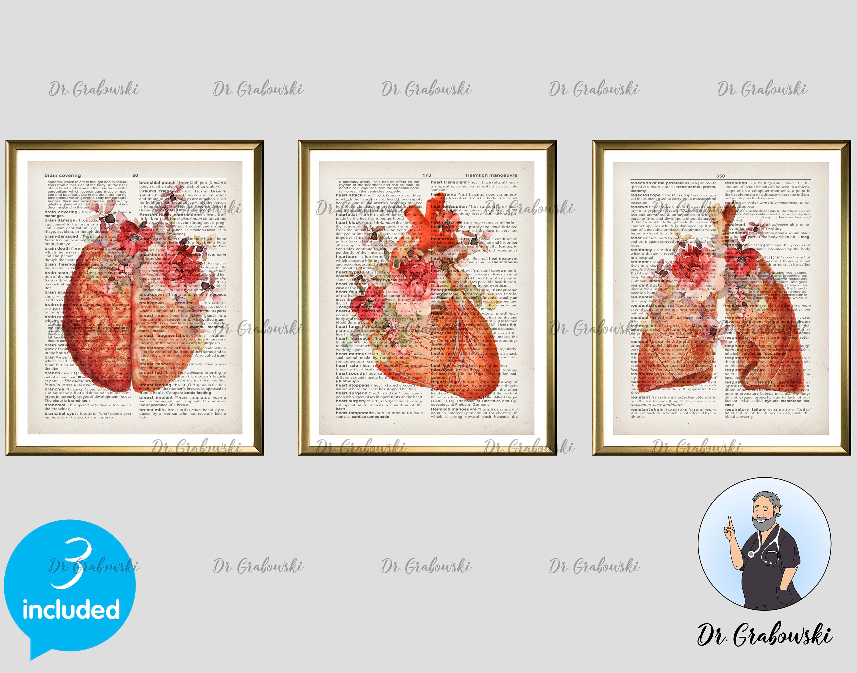 Medical Theme Art Prints Vintage Dictionary Page Drawing Human Etsy