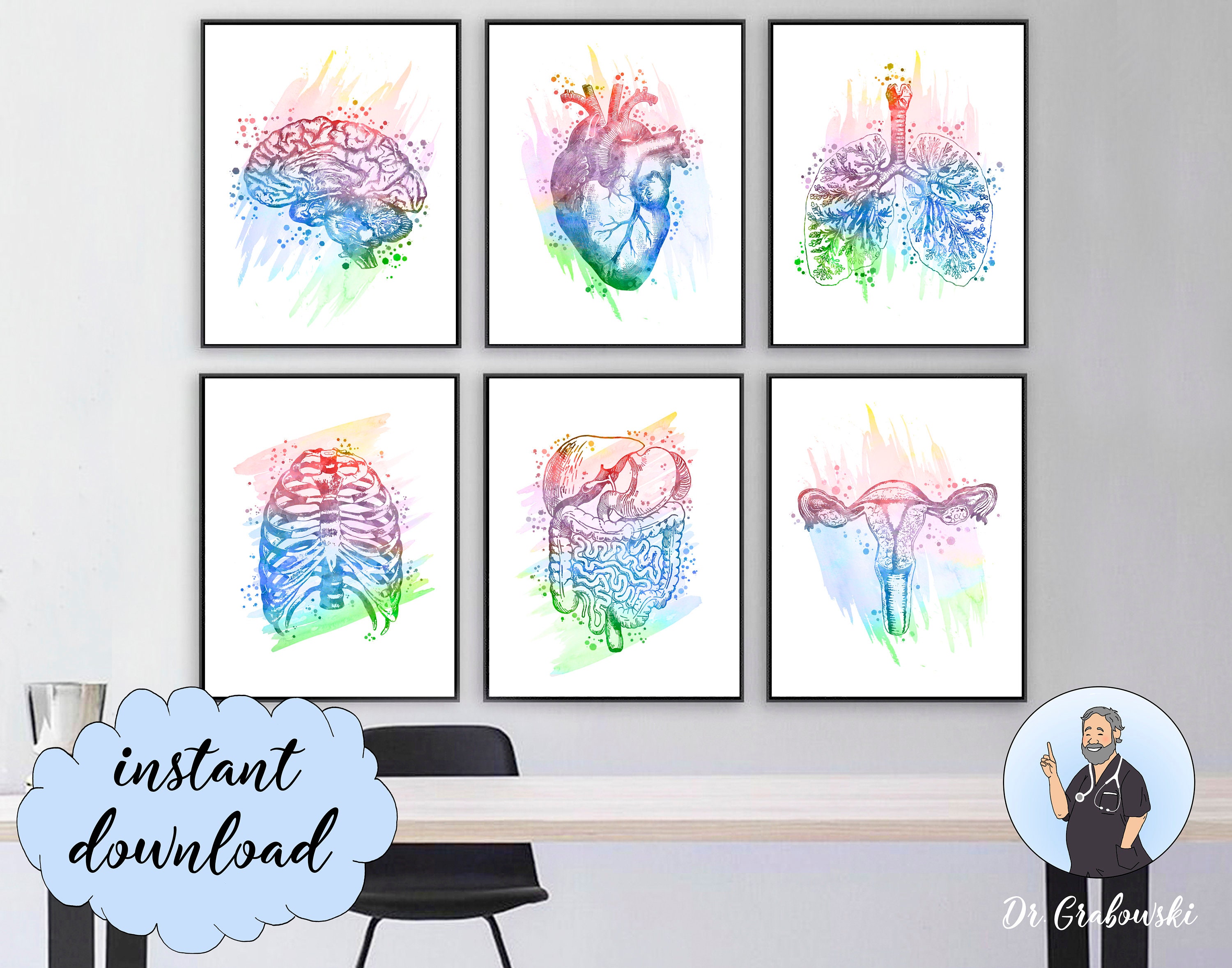 6 Anatomy Print Set Clinic Decor Anatomical Organs Medical Art | Etsy