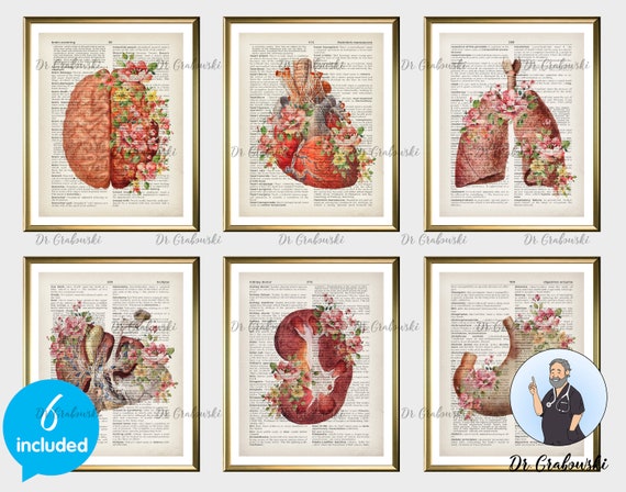 6 Floral Anatomical Organs Art Posters Medical Anatomy Art | Etsy