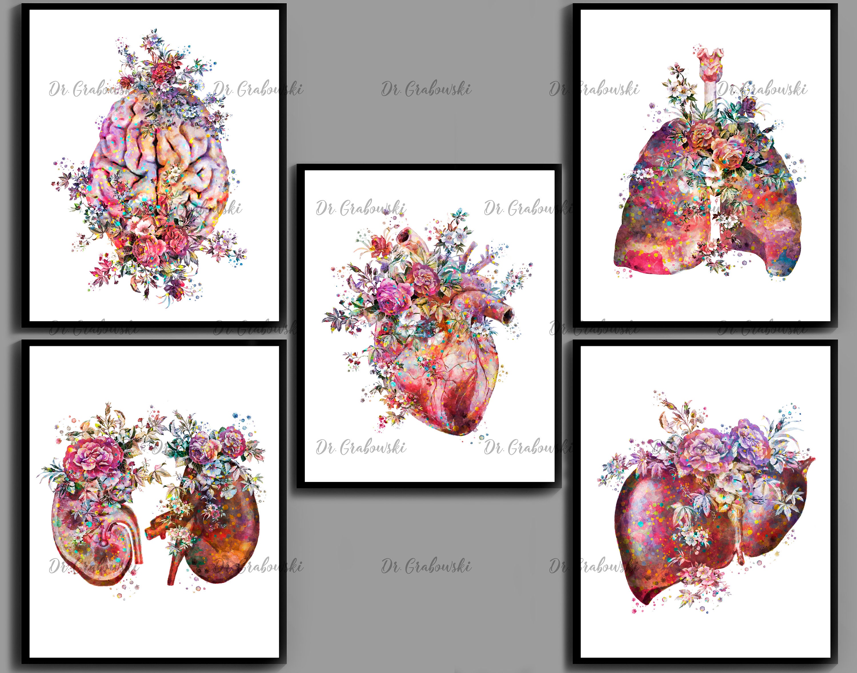 Anatomical Prints Watercolor Internal Organs Art Human Anatomy | Etsy