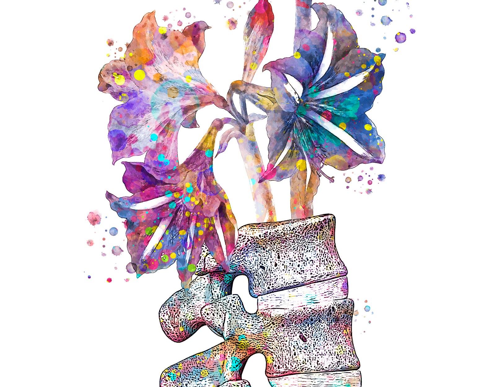 Floral Anatomy Art Watercolor Print Skull Spine Pelvis Rib Etsy