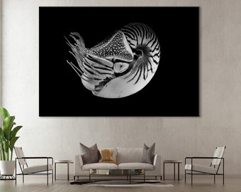 Nautilus Canvas Art, Nautilidae Print, Nautilus Wall Decor, Sealife Print, Ocean life Art, Underwater Canvas, Nautilus Print