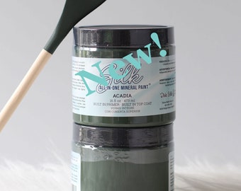 Silk ACADIA All-in-One Mineral Paint