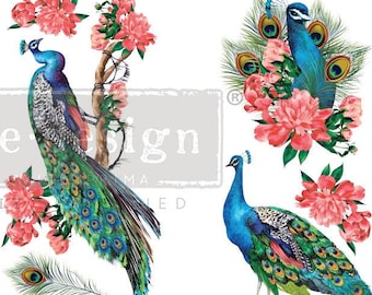 ROYAL PEACOCK Redesign Décor Transfer