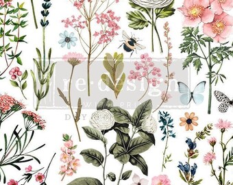 BOTANICAL PARADISE Redesign Décor Transfer