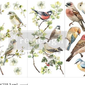 May include: A sheet of decoupage paper with a watercolor design of birds and flowers. The birds are in various shades of blue, green, red, and brown. The flowers are white and pink. The paper is 12 inches by 6 inches.