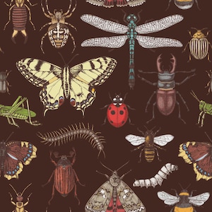 May include: A repeating pattern of various insects, including butterflies, bees, beetles, and dragonflies, in a vintage illustration style. The insects are in shades of brown, yellow, red, and green, set against a dark brown background.