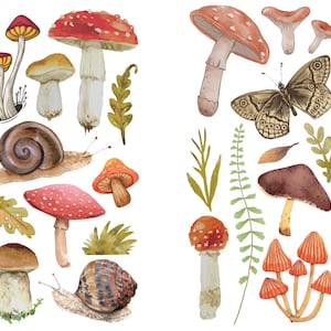 May include: Watercolor illustrations of mushrooms, snails, butterflies, and frogs in a forest setting. The mushrooms are red, white, and brown with white spots. The snails are brown with a spiral shell. The butterflies are brown with black spots. The frogs are green with brown spots.