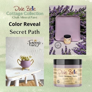 Dixie Belle SECRET PATH Chalk Mineral Paint image 6